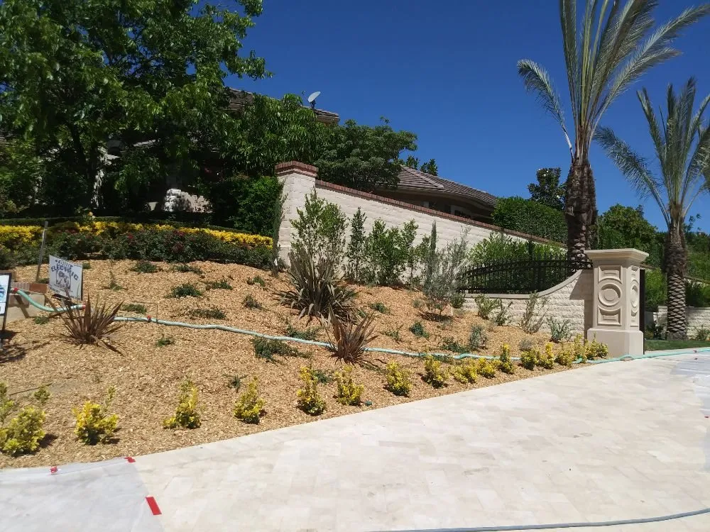 Affordable yard maintenance experts serving Orange, CA - Clover Landscape
