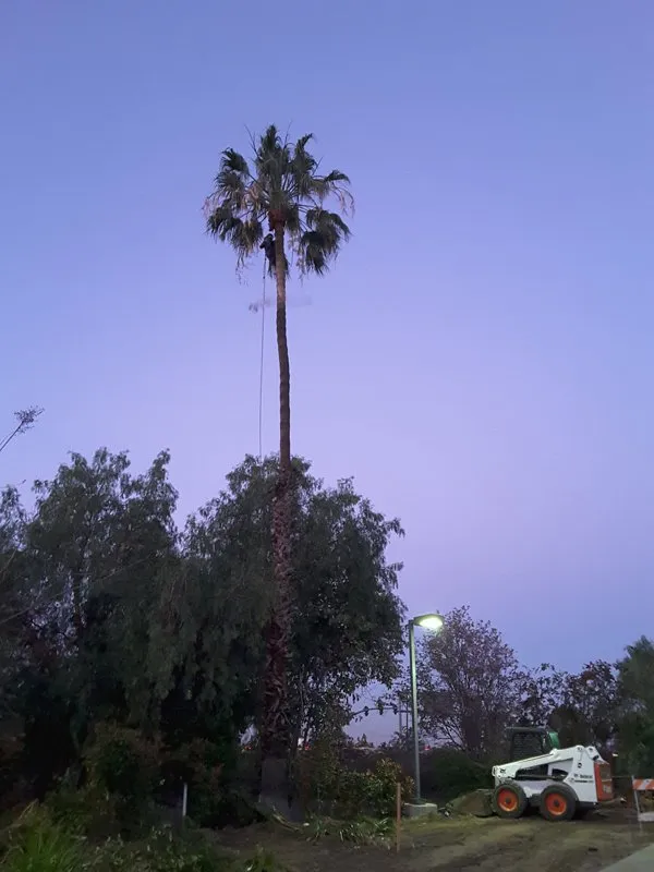 Custom garden landscaping in Orange, CA - Clover Landscape