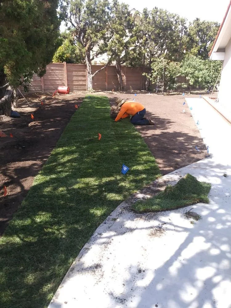 Local landscaping services in Orange, CA by Clover Landscape