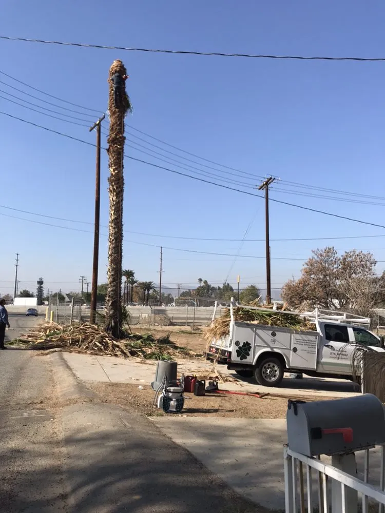 Expert yard maintenance with custom design in Orange, CA by Clover Landscape