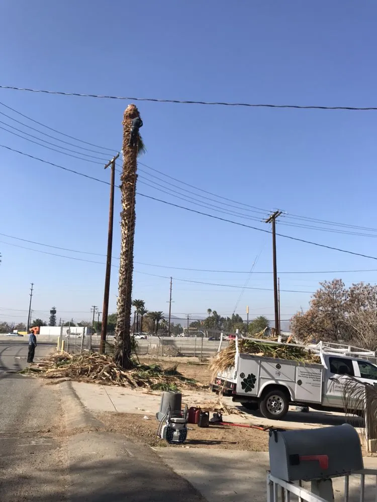 Top-rated residential landscaping in Orange, CA - Clover Landscape