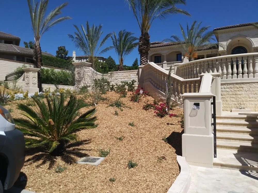 Local garden landscaping in Orange, CA - Clover Landscape