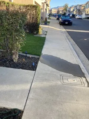 Clover Landscape Logo