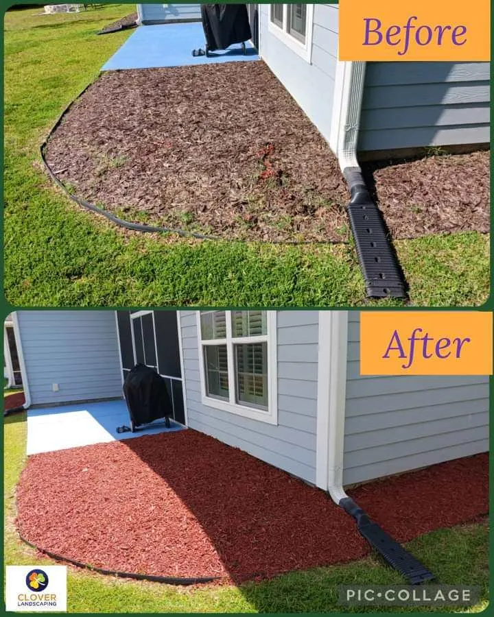 Expert residential landscaping in Savannah, GA by Clover Landscaping