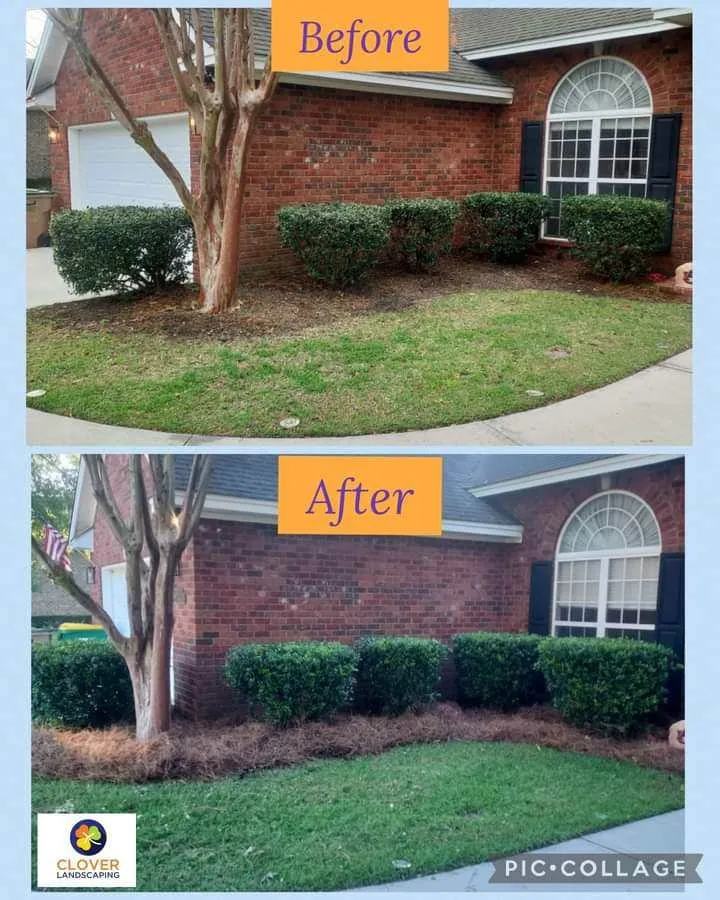 Trusted landscape installation in Savannah, GA by Clover Landscaping
