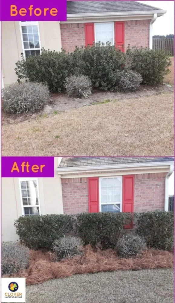 Trusted lawn mowing service in Savannah, GA by Clover Landscaping