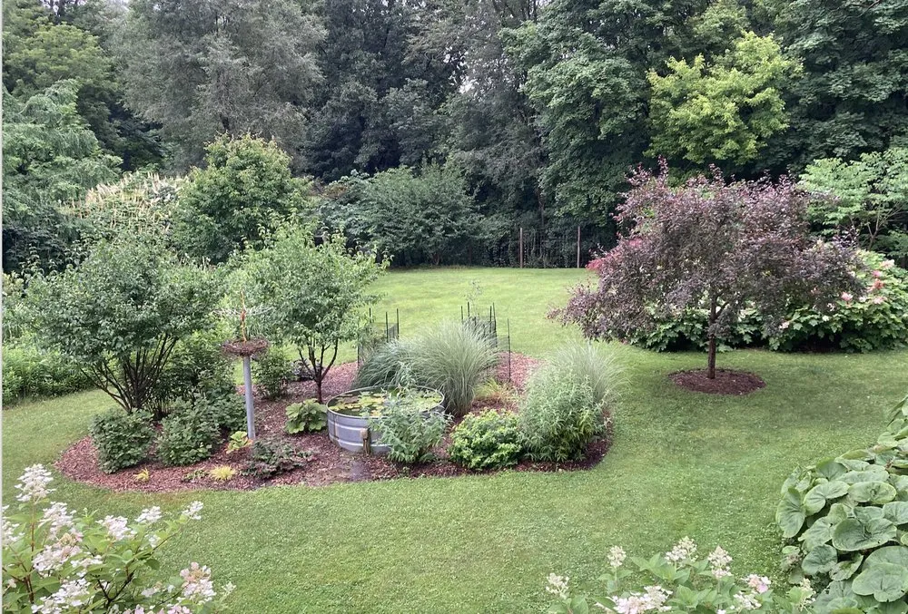 Affordable yard cleanup service in Rochester, NY - Clover Lawn & Landscape