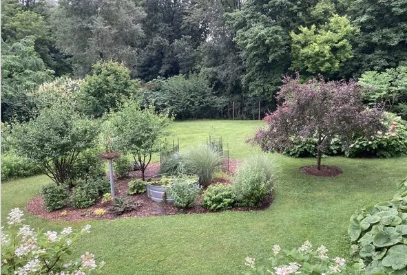 Clover Lawn & Landscape