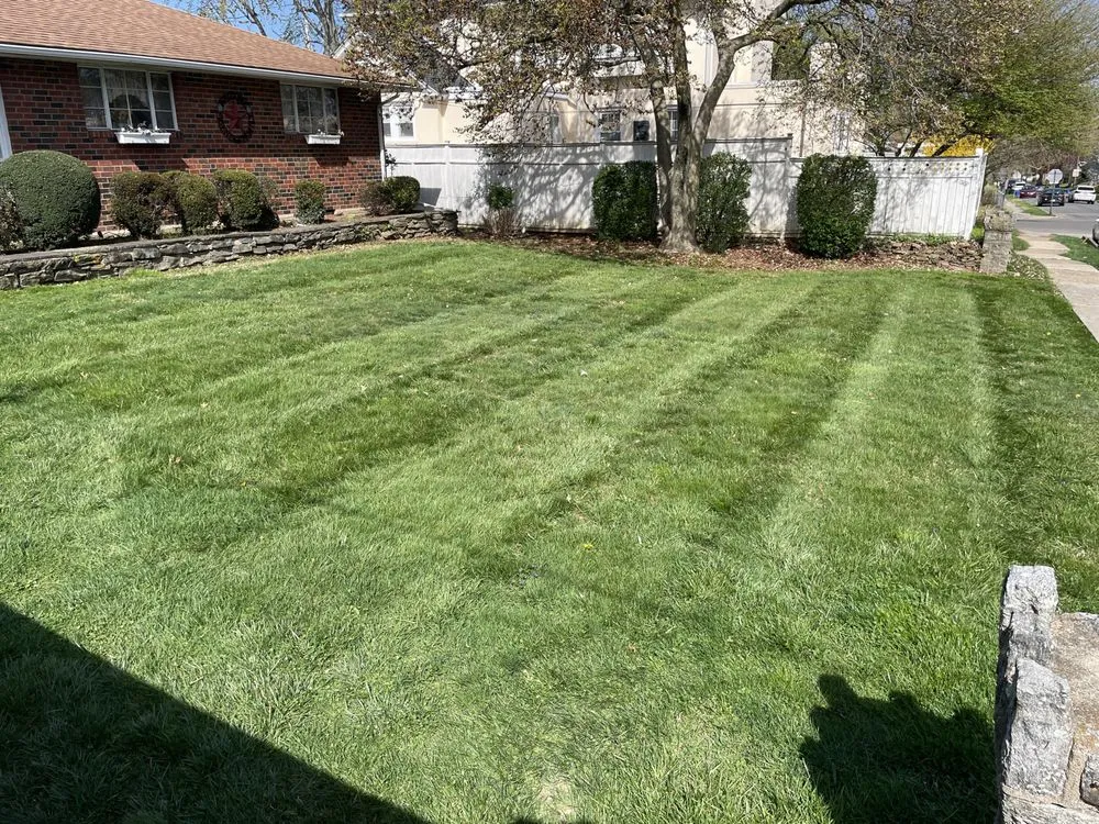 Affordable yard cleanup service for residential properties across Drexel Hill, PA - Clover Lawn and Garden