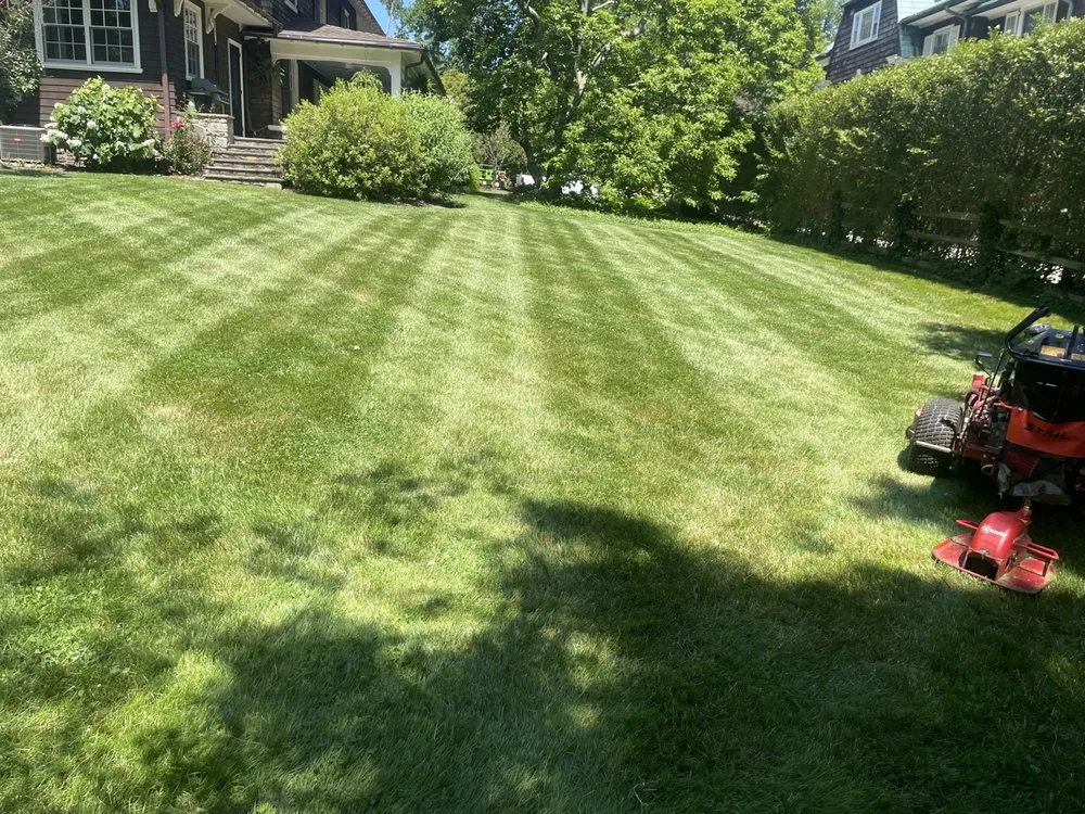 Reliable yard cleanup service experts serving Drexel Hill, PA - Clover Lawn and Garden