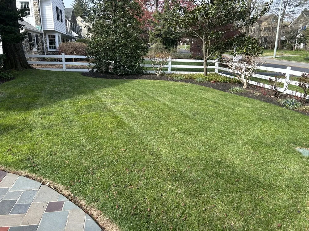 Reliable yard maintenance in Drexel Hill, PA by Clover Lawn and Garden