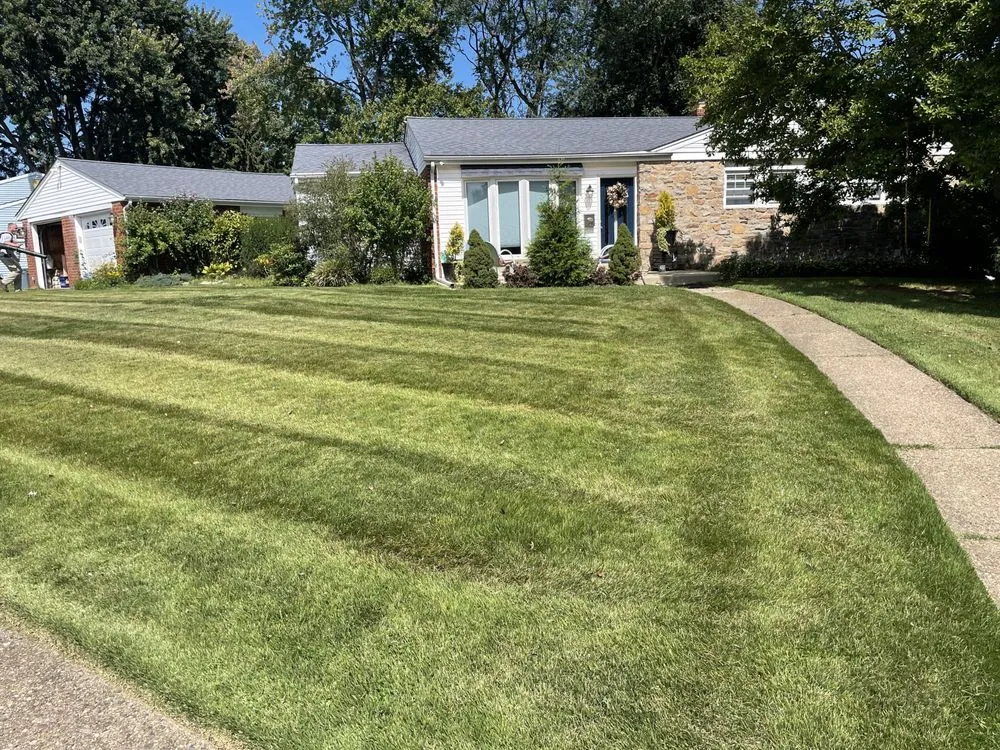 Expert landscape design for homes across Drexel Hill, PA - Clover Lawn and Garden