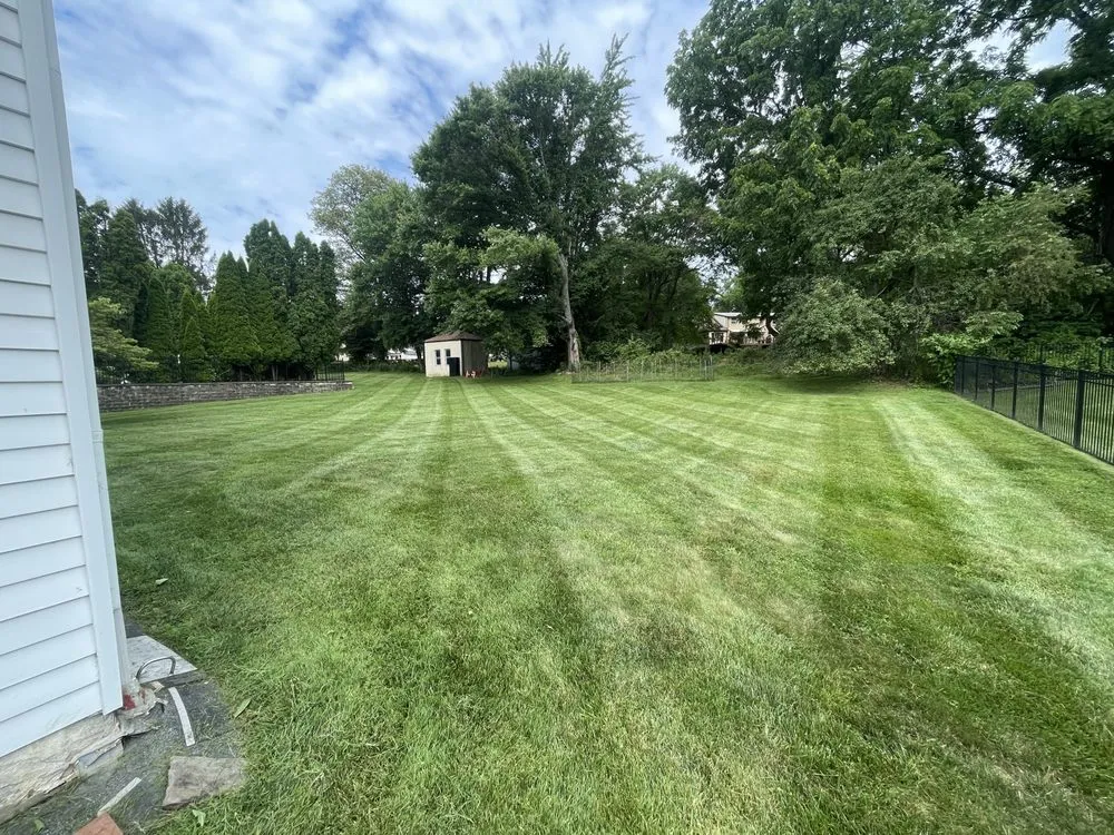 Custom yard cleanup service experts serving Drexel Hill, PA - Clover Lawn and Garden