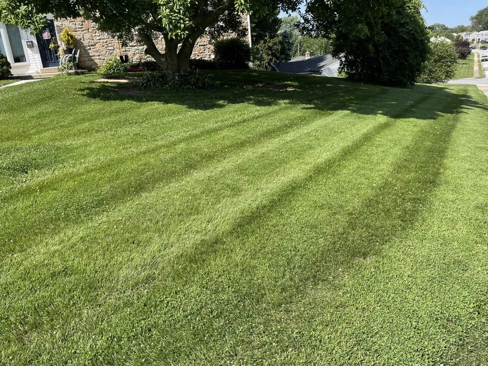 Affordable yard cleanup service experts serving Drexel Hill, PA - Clover Lawn and Garden