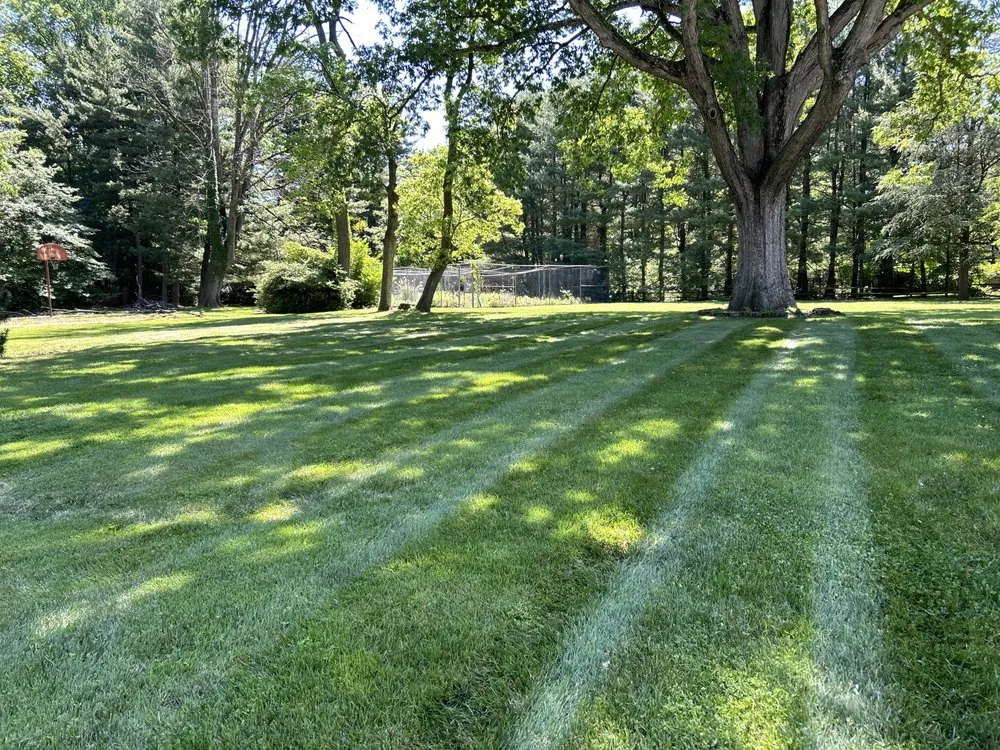 Custom lawn care service for residential properties across Drexel Hill, PA - Clover Lawn and Garden