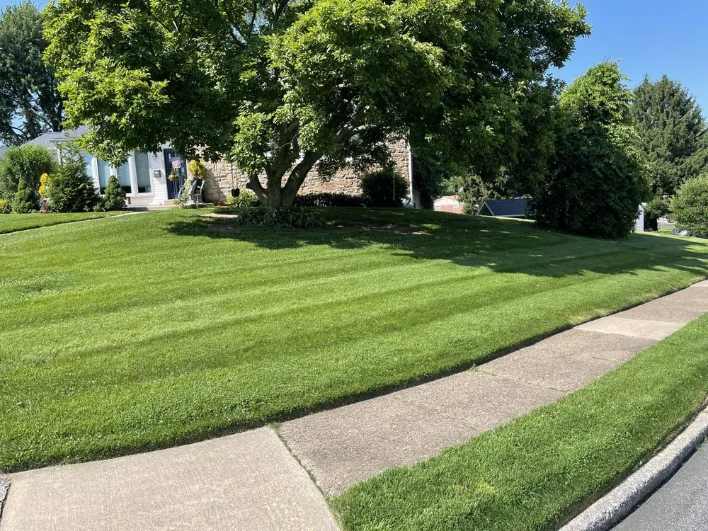 Local lawn mowing service for beautiful yards in Drexel Hill, PA by Clover Lawn and Garden