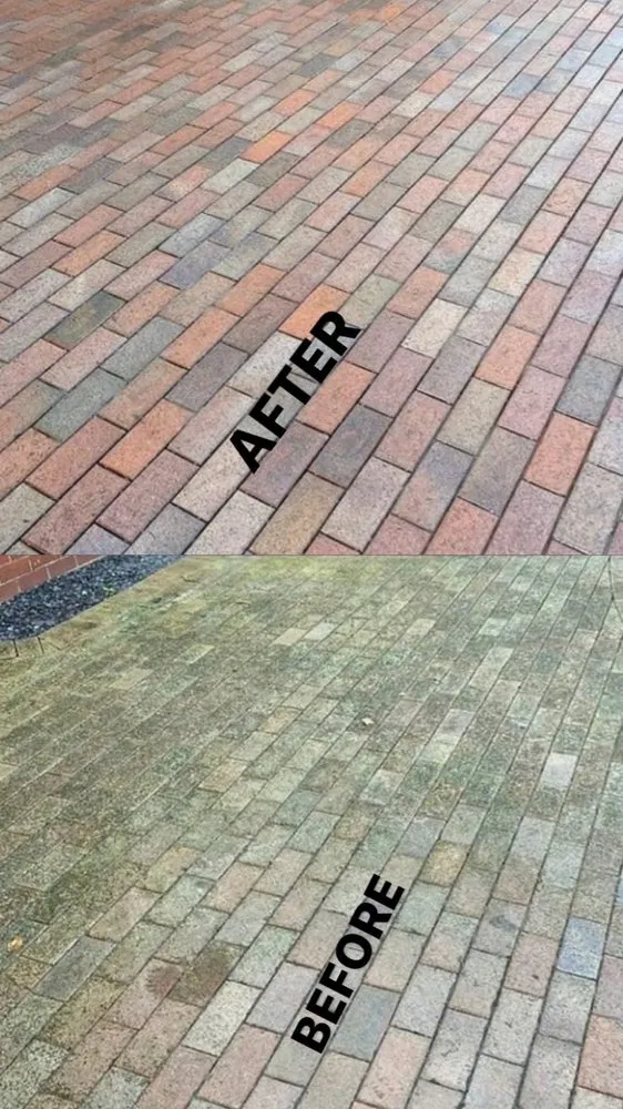 Affordable lawn mowing service in Hyattsville, MD - Clover Property Maintenance