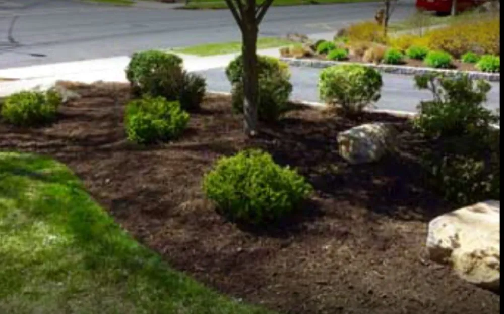 Affordable outdoor landscaping for residential properties in Hyattsville, MD by Clover Property Maintenance