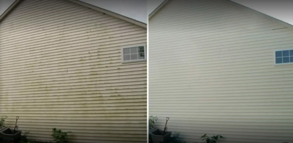 Expert yard maintenance in Hyattsville, MD by Clover Property Maintenance