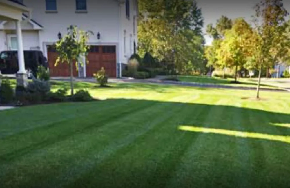 Top-rated lawn care service experts serving Hyattsville, MD - Clover Property Maintenance