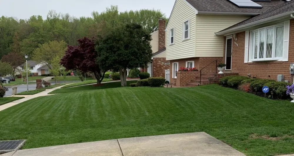 Trusted residential landscaping in Hyattsville, MD - Clover Property Maintenance