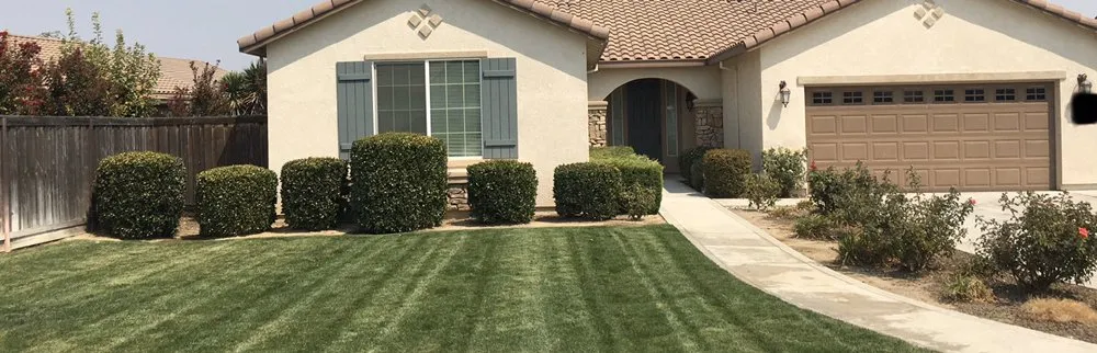 Top-rated yard maintenance with custom design in Modesto, CA by Clover's Landscape