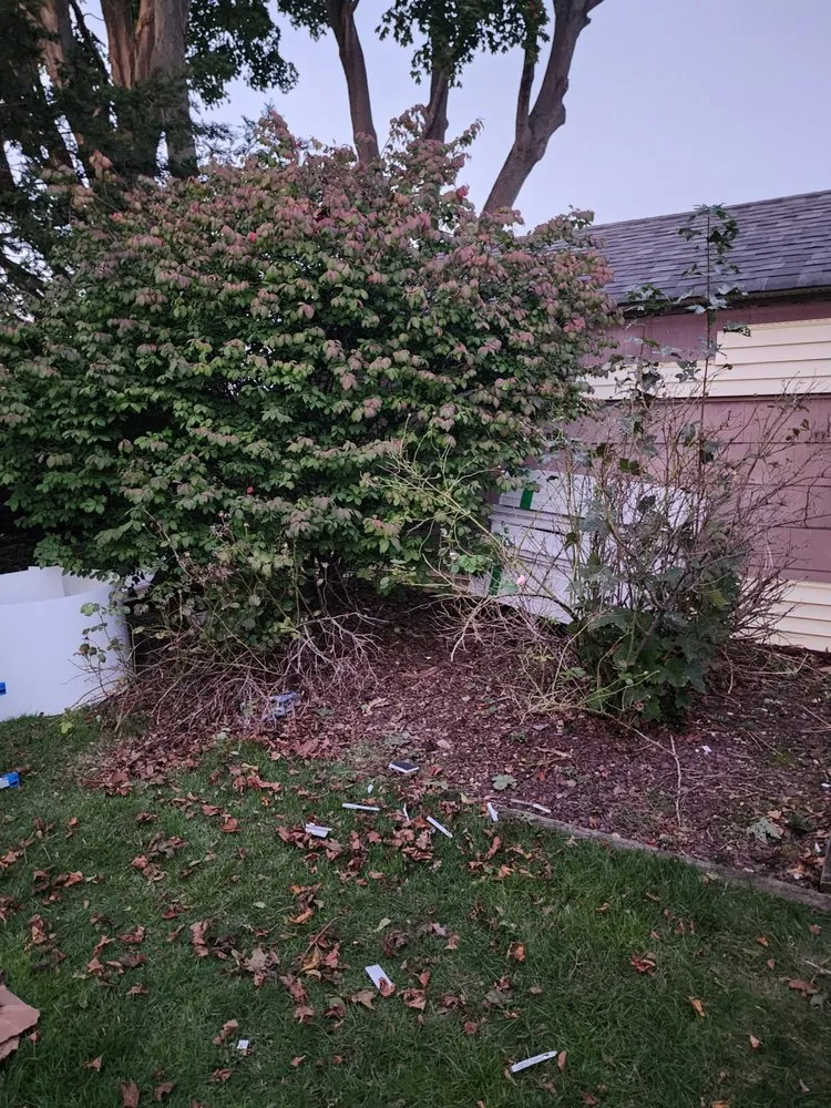 Professional lawn mowing service for residential properties across New York, NY - Clover's Landscaping