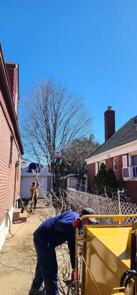 Trusted lawn care service in New York, NY by Clover's Landscaping