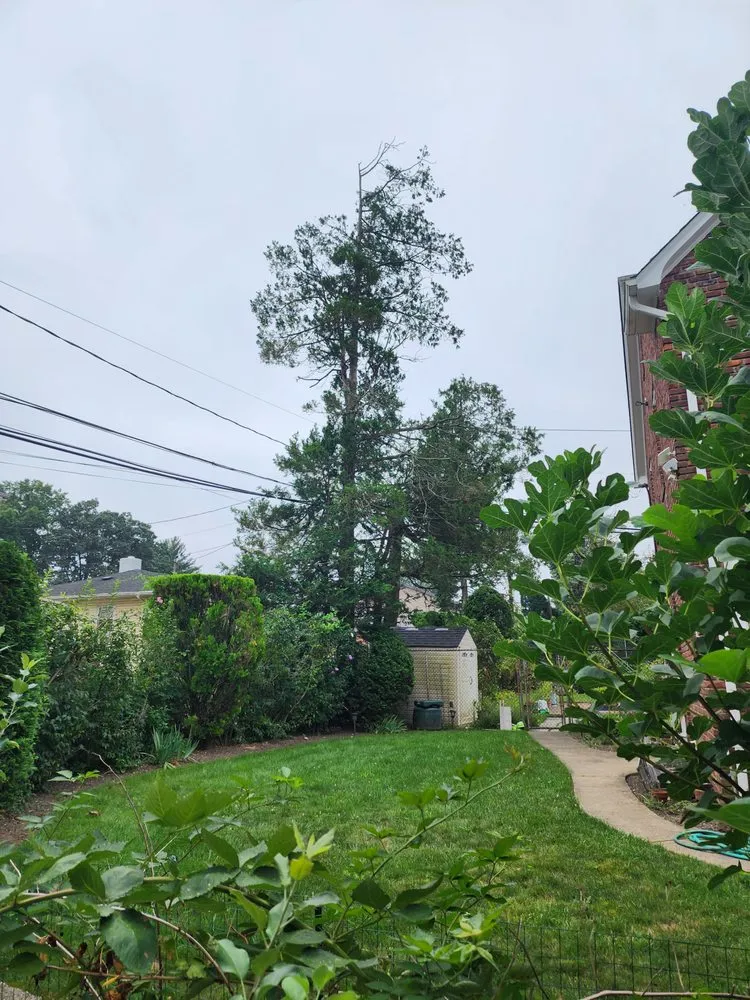 Local lawn mowing service in New York, NY - Clover's Landscaping