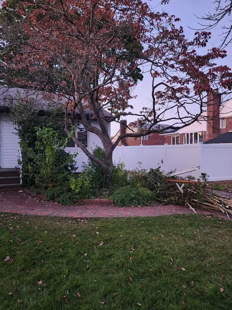 Reliable lawn mowing service for beautiful yards in New York, NY by Clover's Landscaping