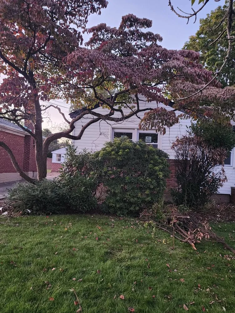 Local landscape installation for outdoor upgrades across New York, NY - Clover's Landscaping