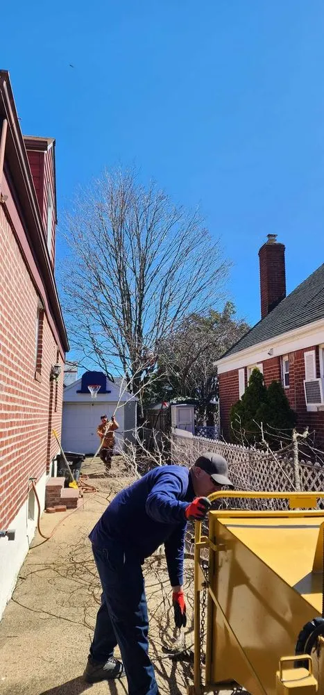 Top-rated garden landscaping for year-round maintenance in New York, NY by Clover's Landscaping