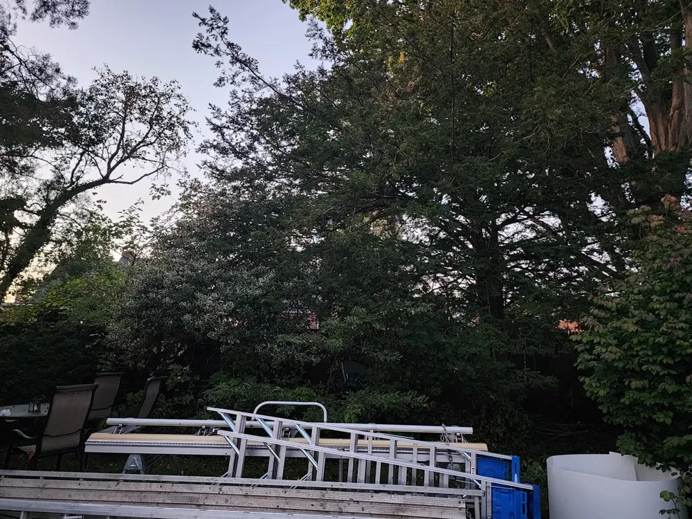 Reliable garden landscaping for outdoor upgrades across New York, NY - Clover's Landscaping