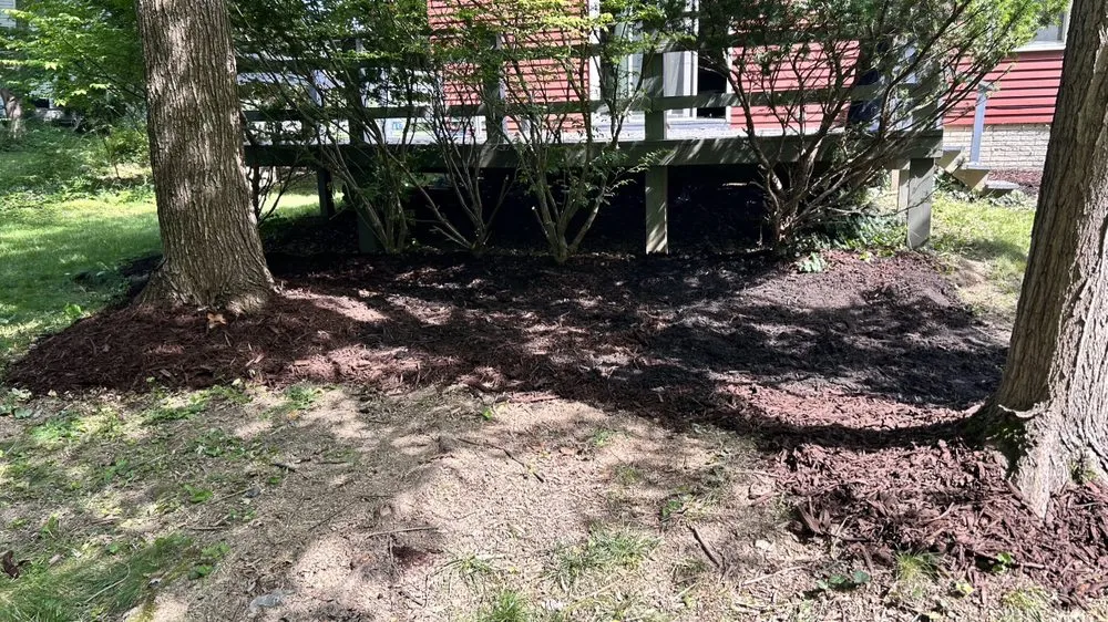 Local landscaping services for beautiful yards in Warren, OH by Clover’s Landscaping