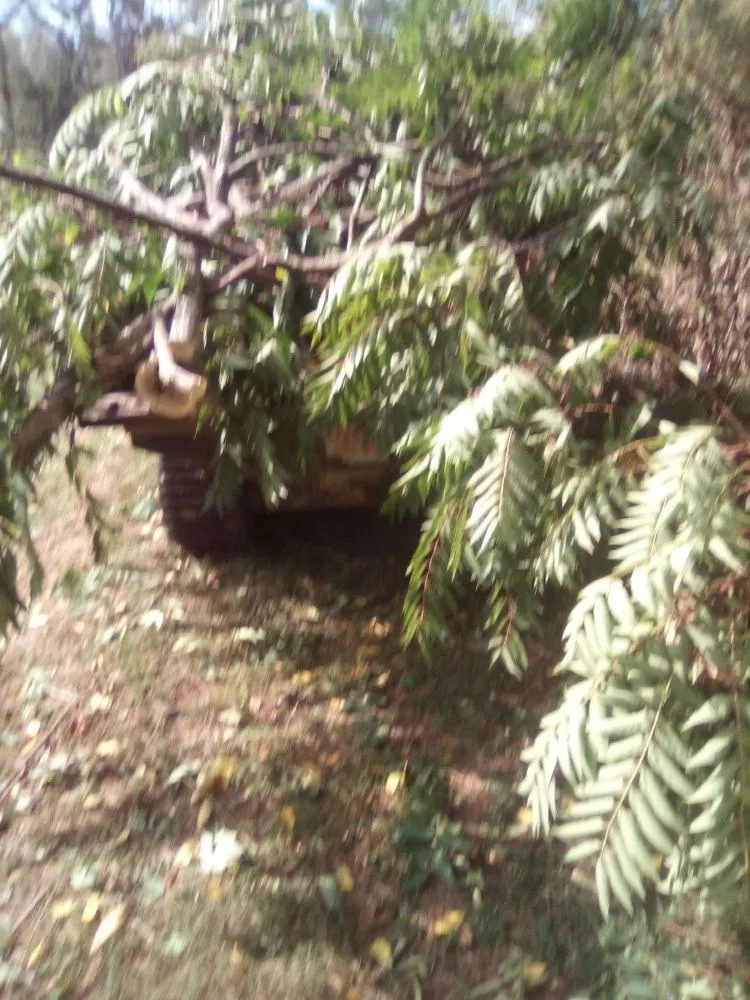 Expert garden landscaping experts serving Uniontown, PA - clovers lawn and landscaping