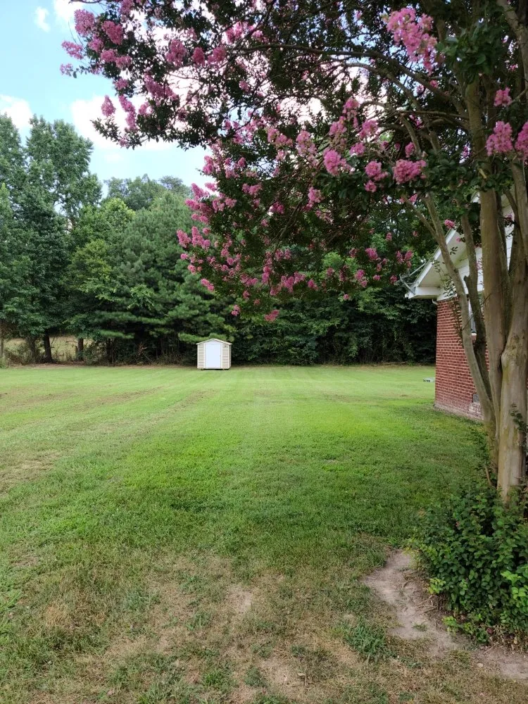 Expert outdoor landscaping experts serving Bonifay, FL - Clover’s Lawn Care