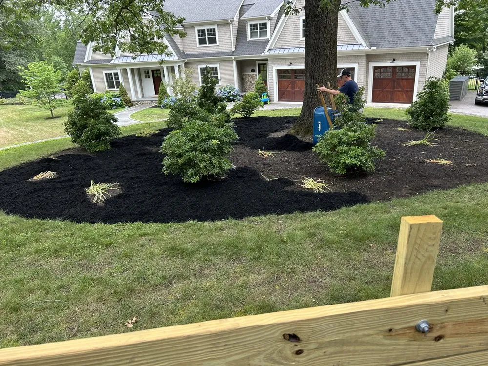 Expert lawn care service in Dover, MA by Clovers Lawn Care