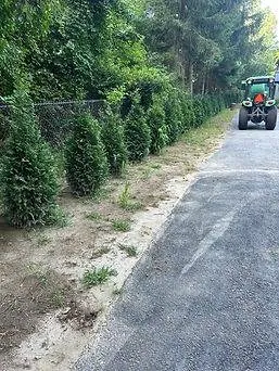 Top-rated landscaping services in Dover, MA - Clovers Lawn Care