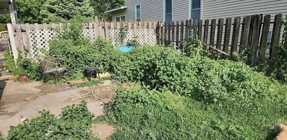 Trusted landscaping services in Vinton, IA by Clovers Lawn Care