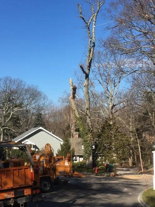 Trusted lawn mowing service for beautiful yards across Stony Brook, NY - Clovis Axion