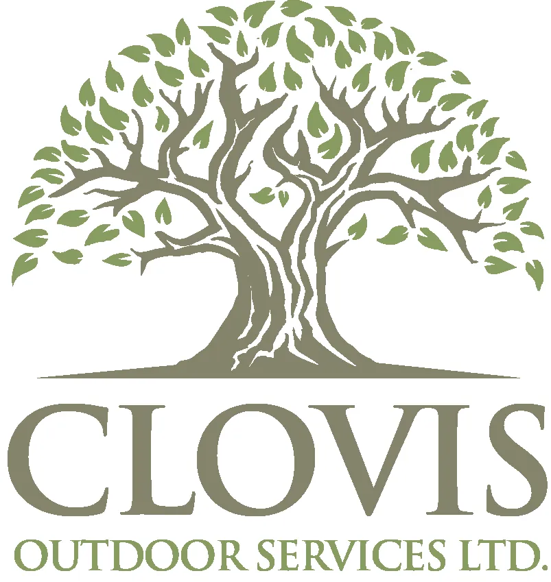 Trusted lawn mowing service for year-round maintenance across Stony Brook, NY - Clovis Axion