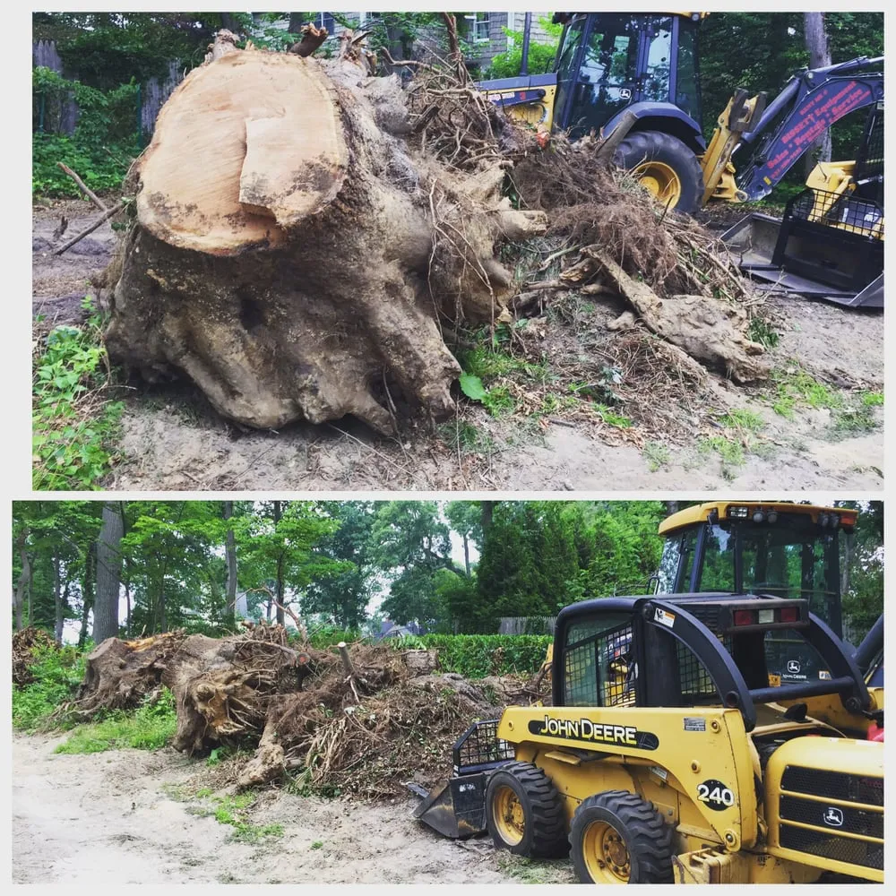 Reliable yard cleanup service for year-round maintenance across Stony Brook, NY - Clovis Axion
