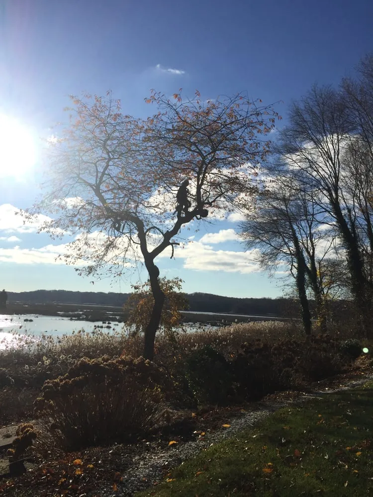 Custom outdoor landscaping experts serving Stony Brook, NY - Clovis Axion