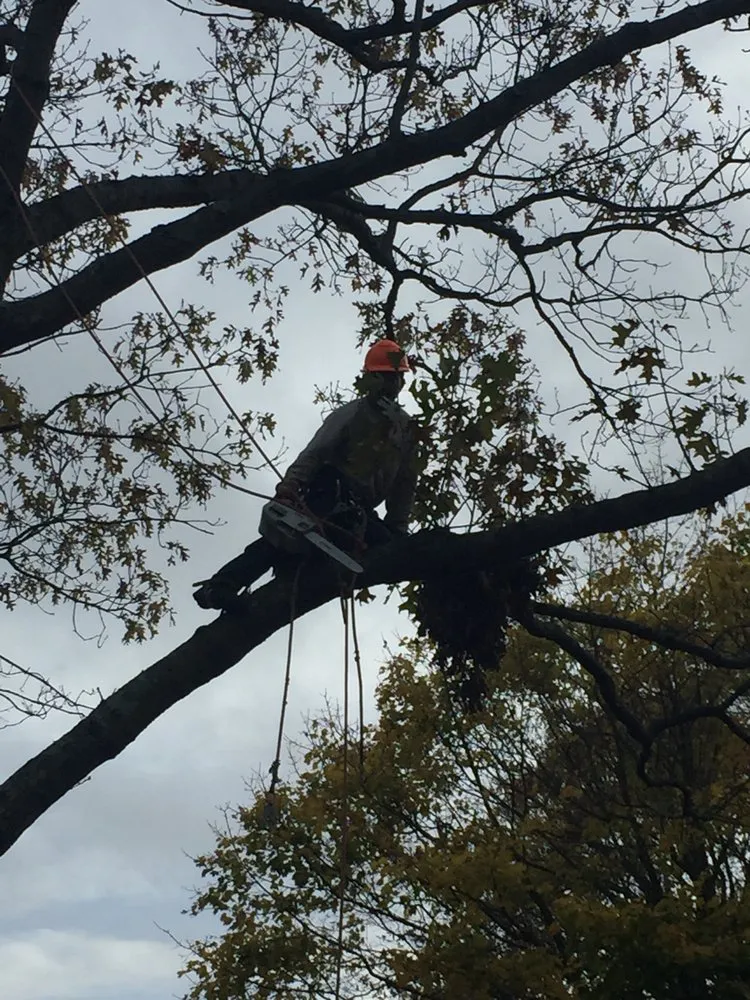 Reliable lawn mowing service in Stony Brook, NY - Clovis Axion