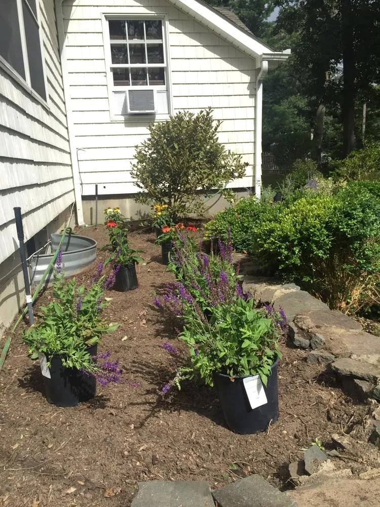 Custom yard maintenance in Stony Brook, NY by Clovis Axion