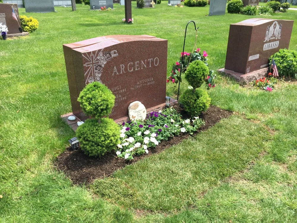 Expert yard maintenance experts serving Stony Brook, NY - Clovis Axion