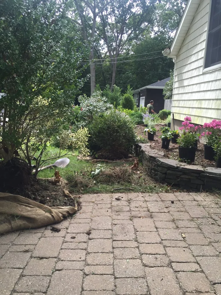 Top-rated yard cleanup service for homes across Stony Brook, NY - Clovis Axion