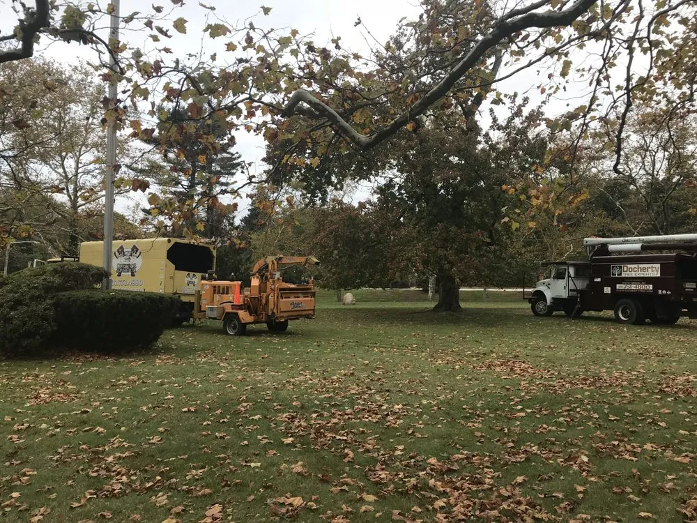 Trusted landscape design in Stony Brook, NY - Clovis Axion