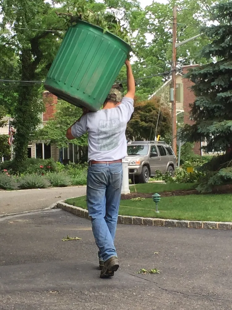 Local landscape design in Stony Brook, NY - Clovis Axion