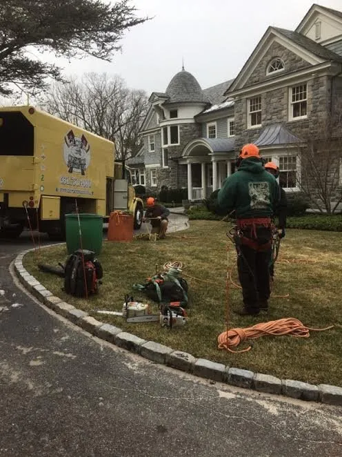 Local landscape installation in Stony Brook, NY - Clovis Axion
